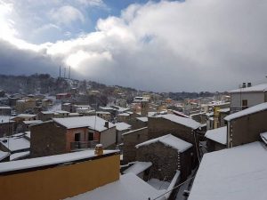 Ollolai