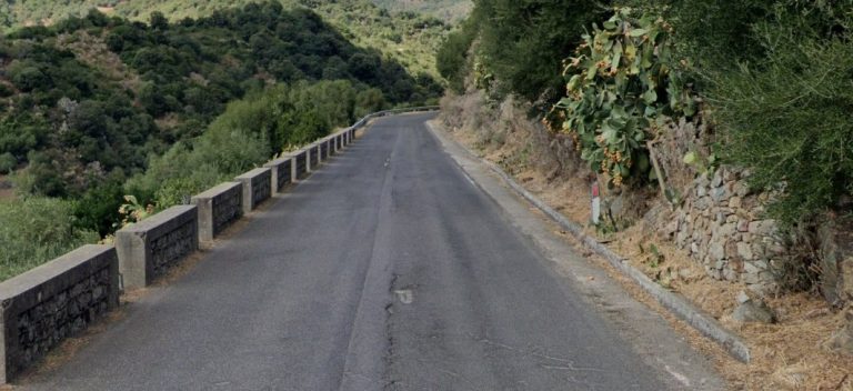 Perde il controllo dell'auto e si ribalta sulla strada di Bolotana, è grave - Strada provinciale 17