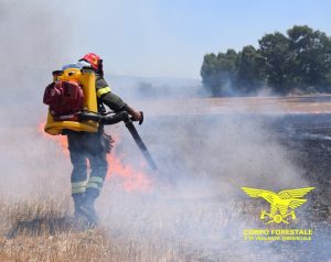 incendio guspini nuoro incendi