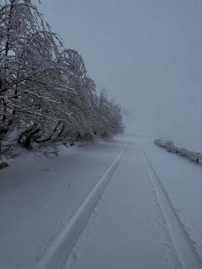 Neve nevicare fonni
