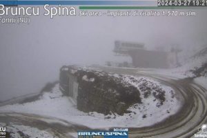 Bruncu spina neve