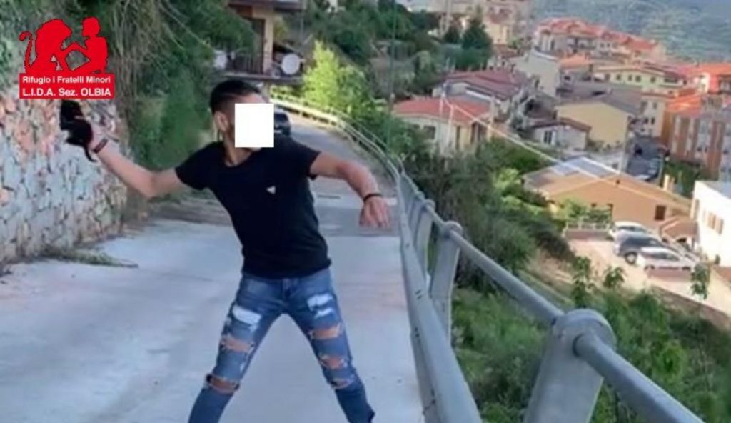 gattino lanusei