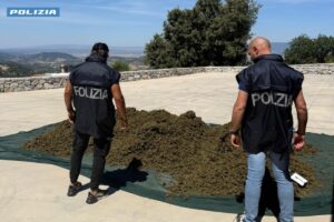 marijuana sarule polizia
