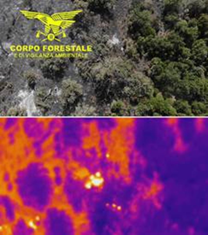 Le scintille individuate dalla forestale